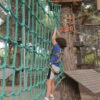 Chili Pepper - Imagen 4